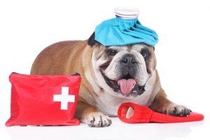 İstanbul Acil Müdahaleler ve Acil Servis